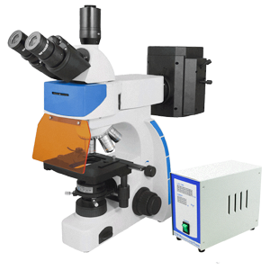 Fluorescence Microscope